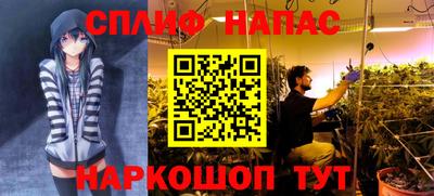 дживик Будённовск