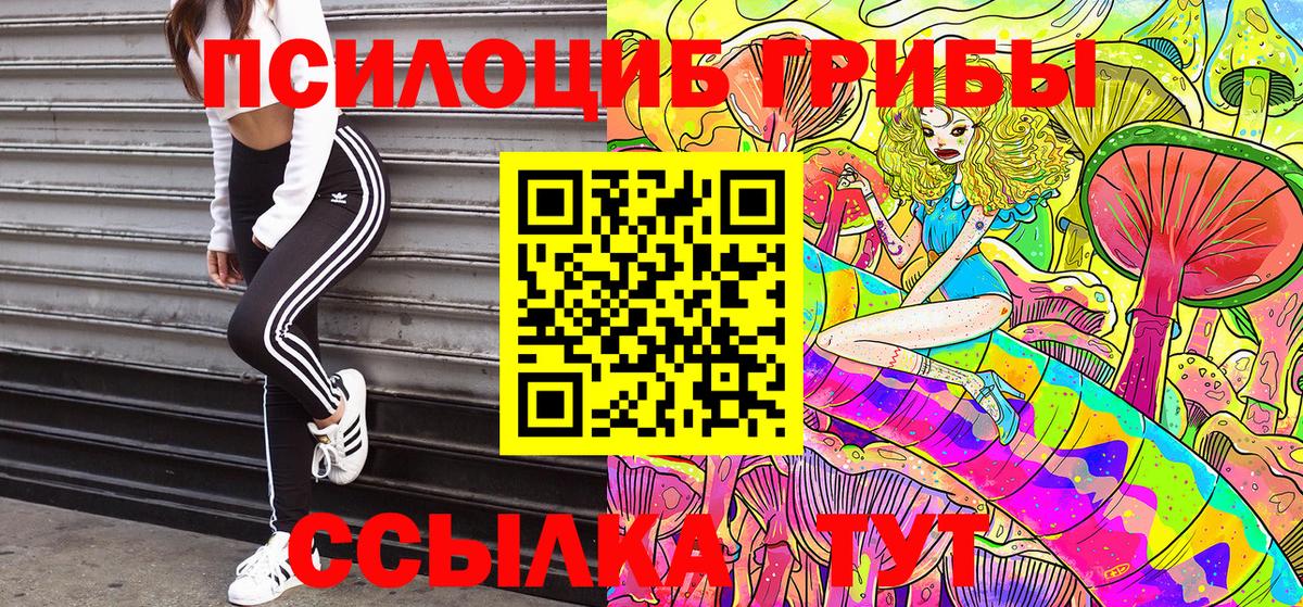 Североуральск  купить  цена  Вход с VPN  Галлюциногенные грибы Magic Shrooms 